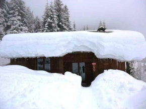 Chalet cosy sur pistes avec cheminée, terrasse et studio indépendant pour 14 pers. - FR-1-342-239